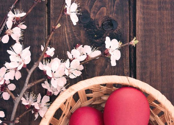 Red eggs in a basket with cherry blossoms on wood.